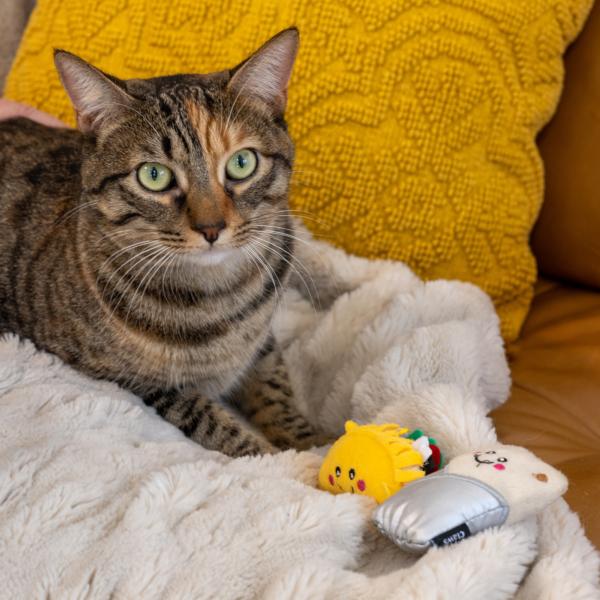 ZippyPaws ZippyClaws NomNomz Jouets taco et burrito pour chat, lot de 2