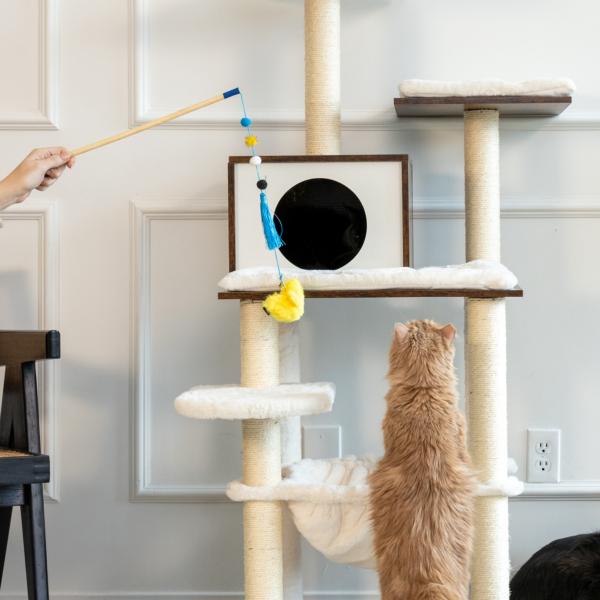 ZippyPaws ZippyClaws ZippyStick Jouet oiseau pour chat