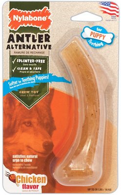 Nylabone Puppy Antler Alternative Chicken Flavored Dog Chew Toy