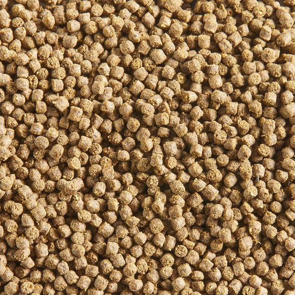 Aqueon Nutrinsect Fish-Free Goldfish Pellets Fish Food