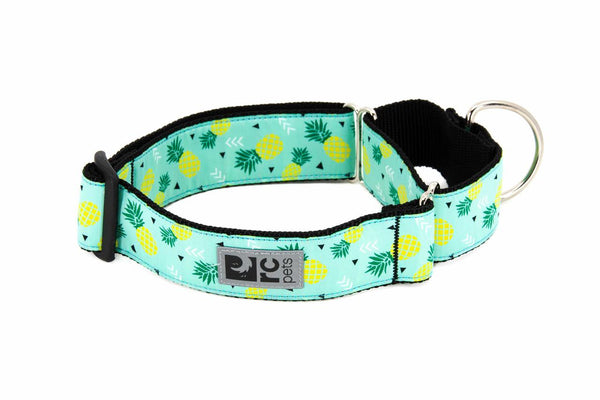 RC Pets Collier de dressage tout en sangles à motifs, Parade d'ananas