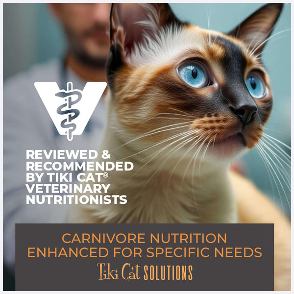Tiki Cat Solutions Digestion Mousse Chicken & Egg in Broth Wet Cat Food Pouch