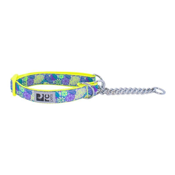 RC Pets Collier de dressage à motifs, Agrumes