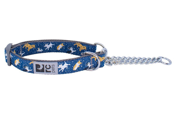 RC Pets Collier de dressage à motifs, Chiens astronautes