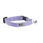 RC Pets Collier sécuritaire de base pour chats, Lilas