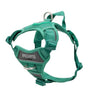 RC Pets Momentum Control Dog Harness, Parakeet