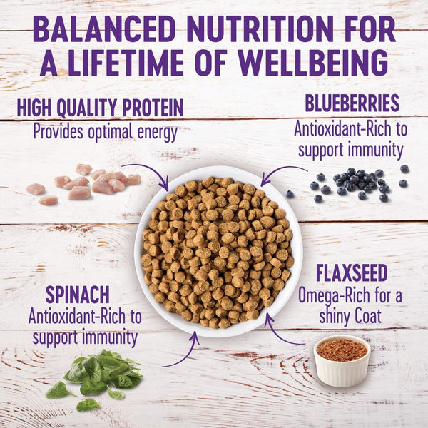 Wellness Complete Health Small Breed Puppy Turkey, Oatmeal & Salmon Dry Dog Food