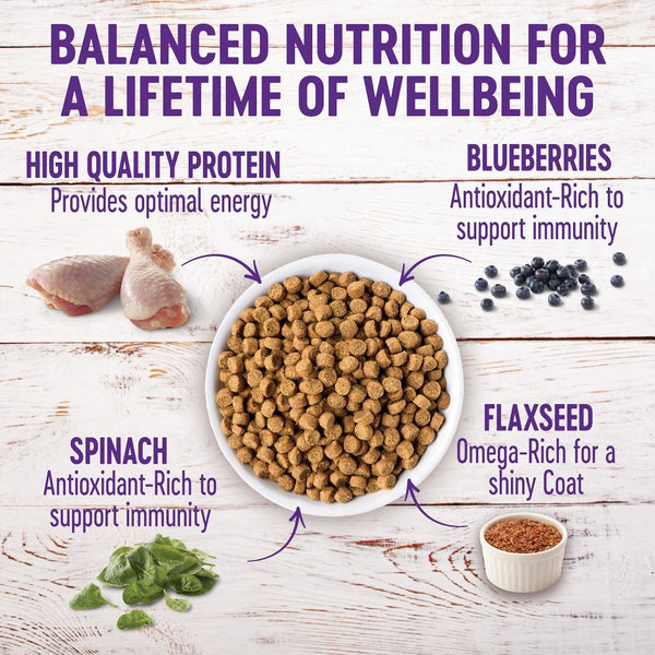 Wellness Complete Health Puppy Deboned Chicken, Oatmeal & Salmon Meal Dry Dog Food