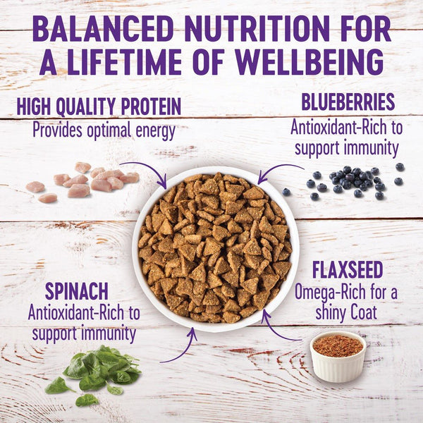Wellness Complete Health Small Breed Adult Healthy Weight Turkey & Brown Rice Dry Dog Food