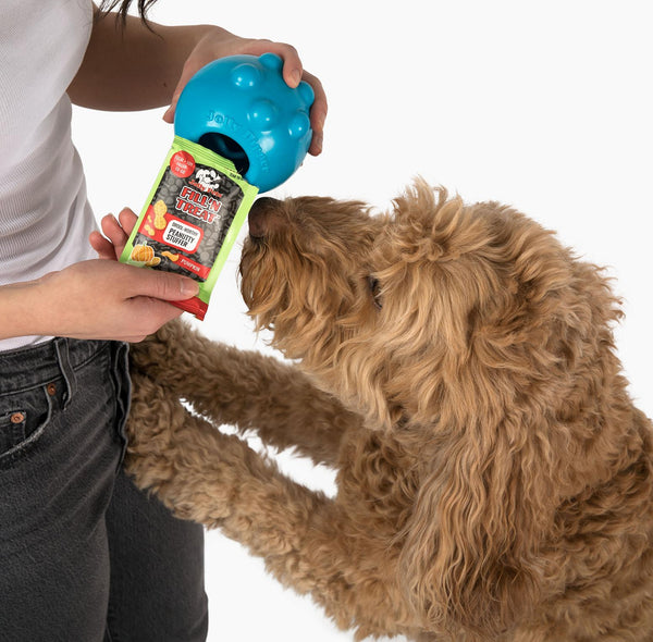 Jolly Pets Fill'N Treat Friandises pour chiens Citrouille Beurre de cacahuète