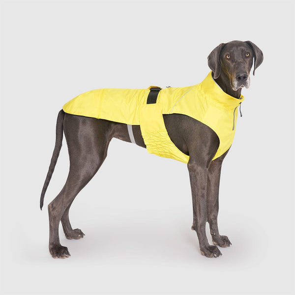 Canada Pooch Grow With Me Dog Raincoat, Yellow