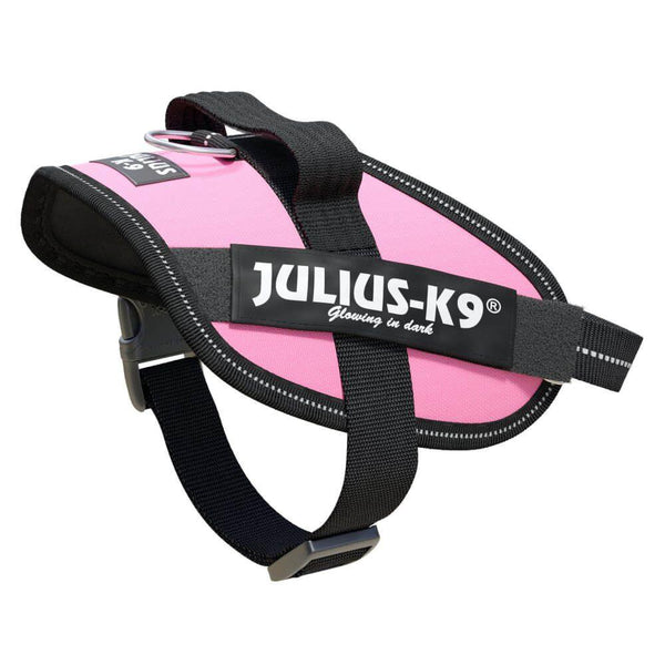 Julius-K9 IDC Powerharness Dog Harness, Pink