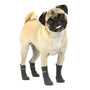 Kurgo Chaussettes Blaze pour chiens, lot de 4