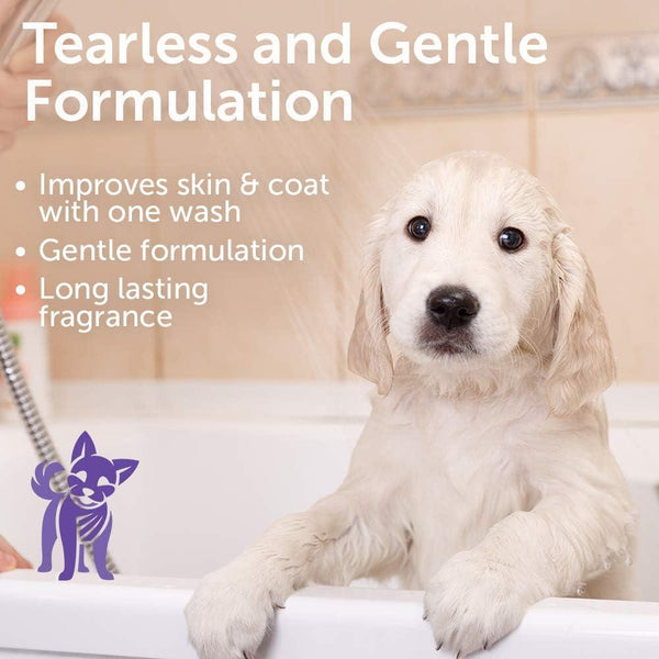 Nootie Sweet Dreams Tearless Puppy Dog Shampoo