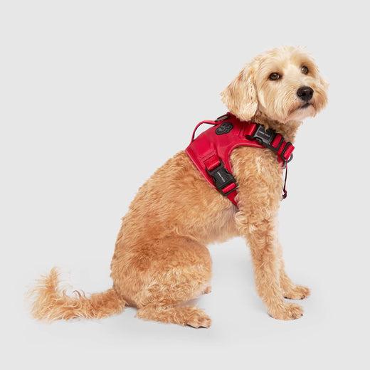 Canada Pooch Complete Control Dog Harness, Red
