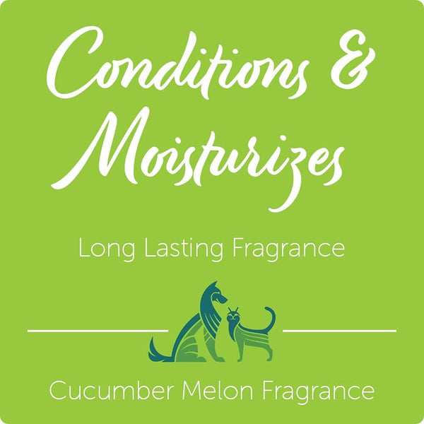 Nootie Cucumber Melon Daily Spritz for Dogs & Cats