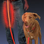 Nite Ize Nite Dawg Laisse pour chien à LED