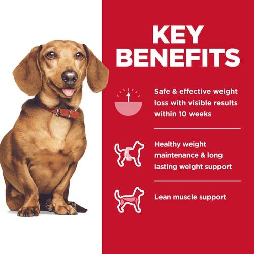 Hill's Science Diet Adult Perfect Weight Small & Mini Chicken Dry Dog Food