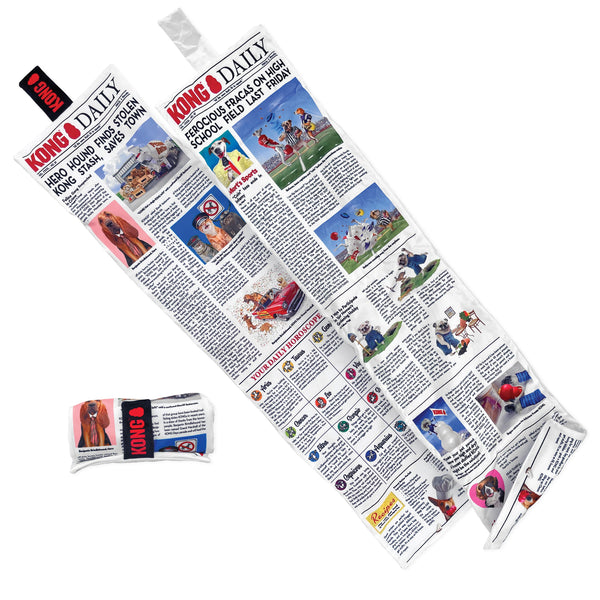 KONG Daily Newpaper Dog Toy