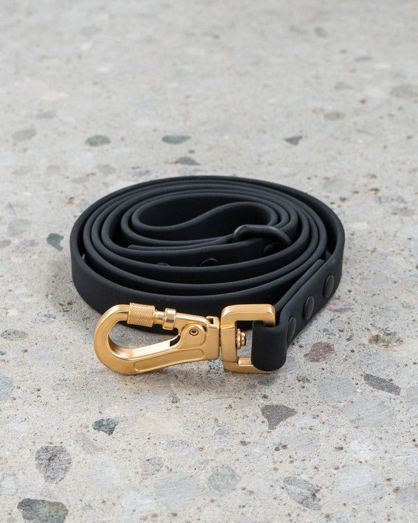 Dexypaws Waterproof Dog Leash, Black