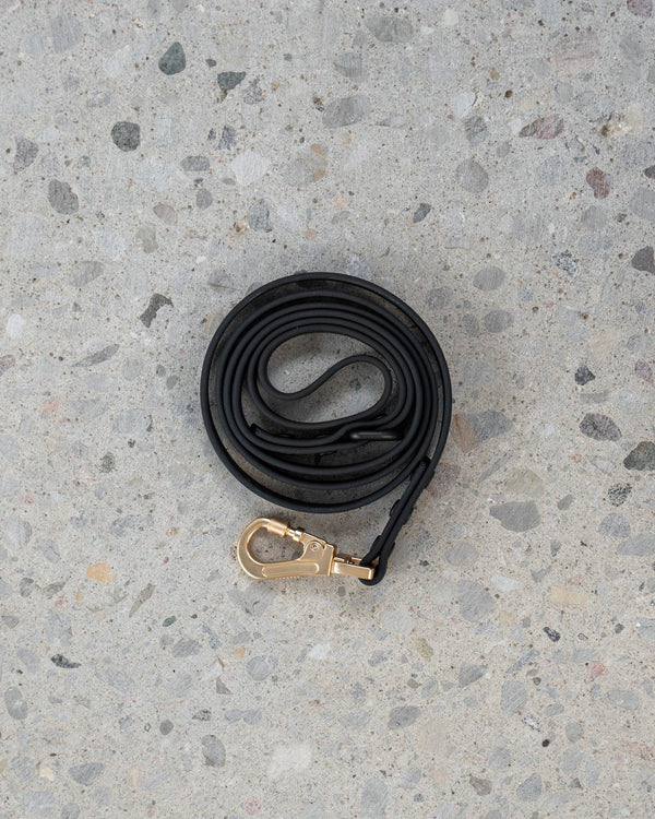 Dexypaws Waterproof Dog Leash, Black