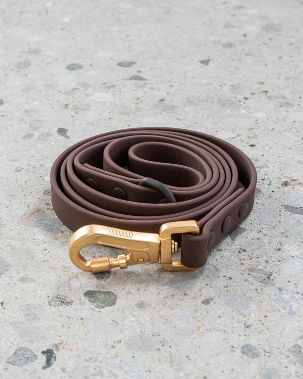 Dexypaws Waterproof Dog Leash, Espresso