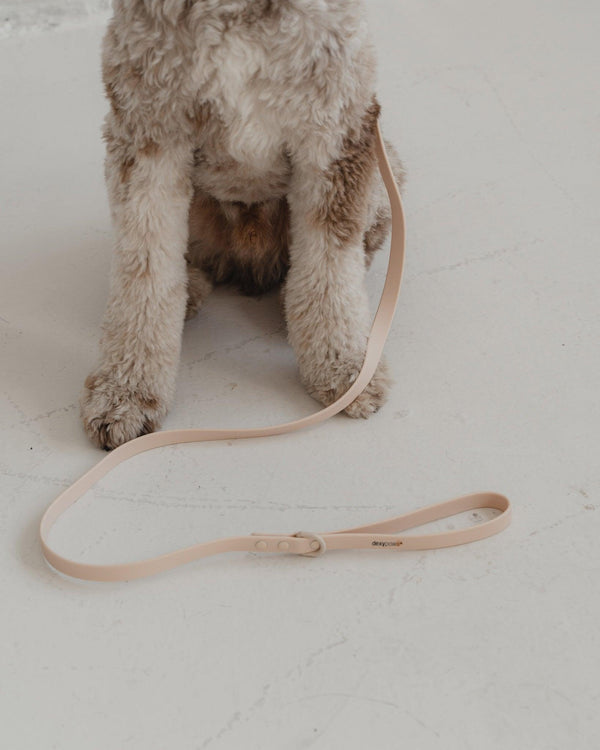 Dexypaws Waterproof Dog Leash, Nude