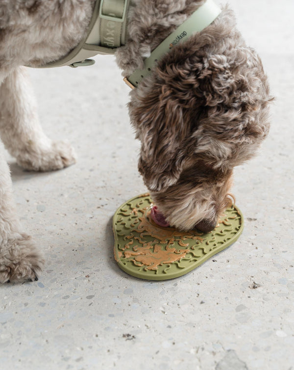 Dexypaws Avocado Enrichment Licking Mat Dog Slow Feeder