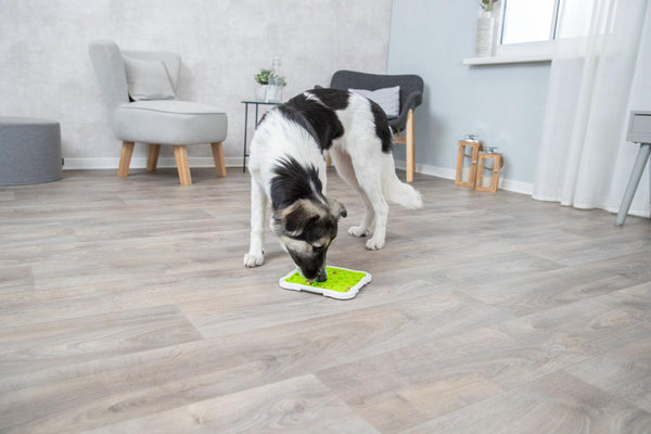 Trixie Lick'n Snack Licking Plate Pet Slow Feeder