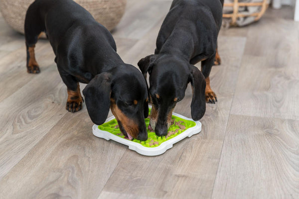 Trixie Lick'n Snack Licking Plate Pet Slow Feeder