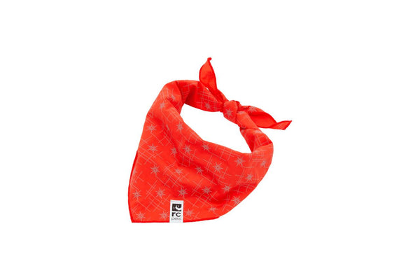 RC Pets Flare Reflective Dog Bandana, Stargazer Goji Berry
