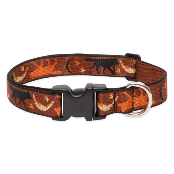 Lupine Pet Original Designs Adjustable Dog Collar, Shadow Hunter