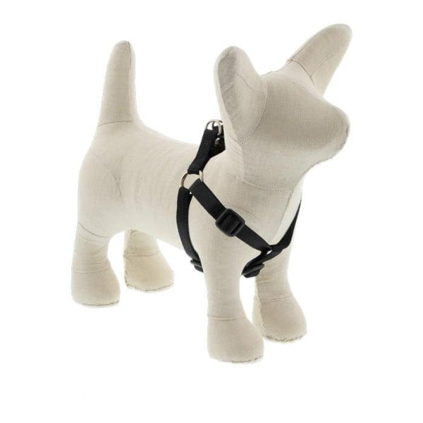 Lupine Pet Basic Solids Step In Dog Harness, Black