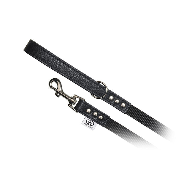 Buddy Belts Permanent Nylon Accent Dog Leash, Black