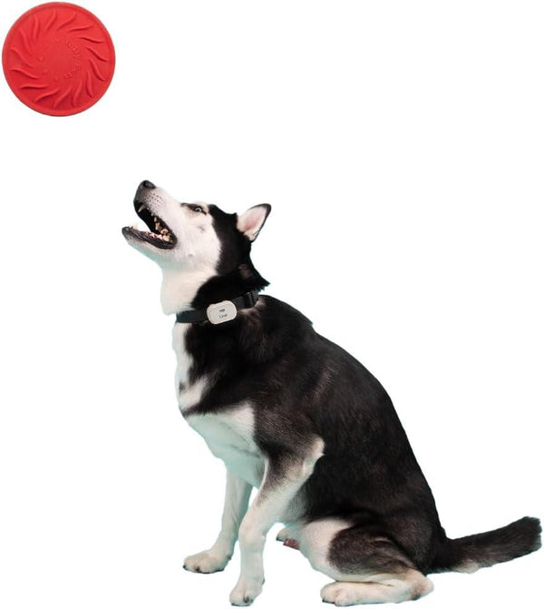 Jolly Pets Jolly Tuff Flyer Dog Toy, Red