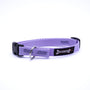 Smoochy Poochy Collier pour chien en nylon, lavande