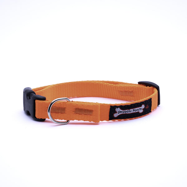 Smoochy Poochy Collier pour chien en nylon, orange