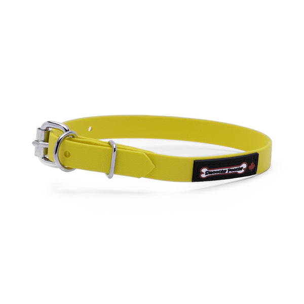 Smoochy Poochy Polyvinyl Buckle Style Dog Collar, Yellow