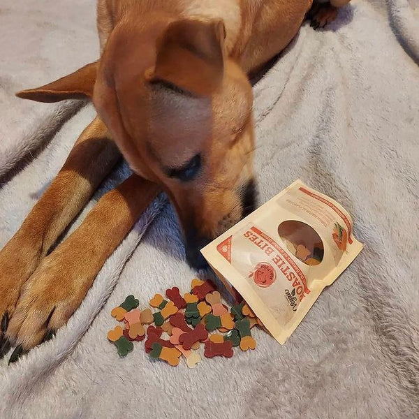 Mak's Patch Roastie Bites Training Dog Treats