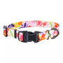 Inspire Adjustable Fashion Dog Collar, Sherbert Blooms