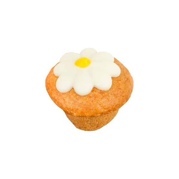 Bosco & Roxy's Daisy Cupcake Dog Treats