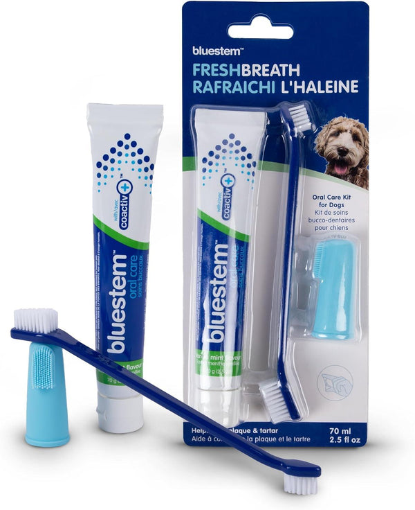 Bluestem Vanilla Mint Flavor Oral Care Kit for Dogs