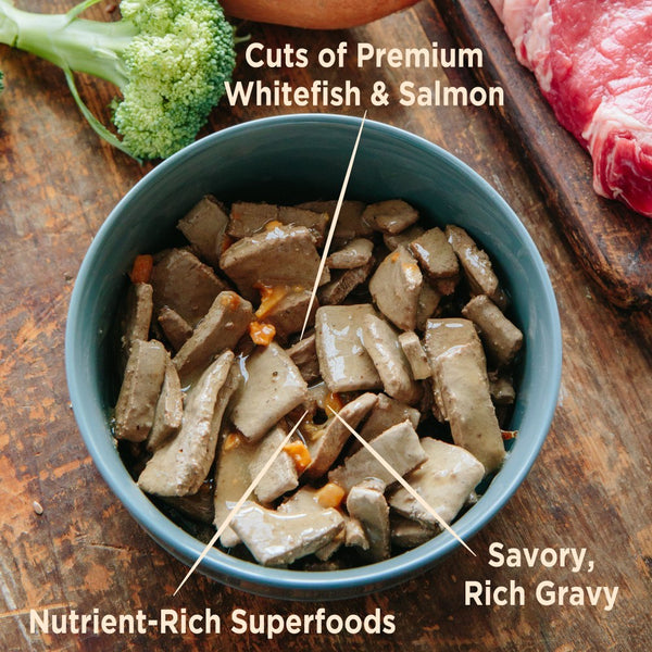 Wellness CORE Hearty Cuts en sauce Poisson blanc et Saumon Nourriture humide pour chiens sans céréales en conserve