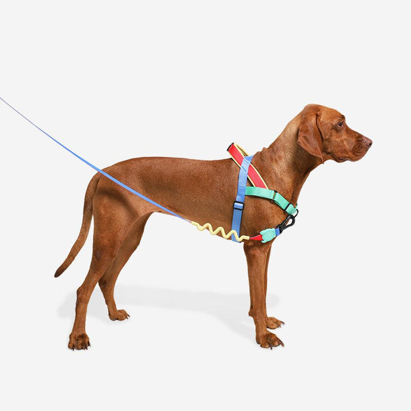Zee.Dog Softerwalk Dog Harness, Mellow