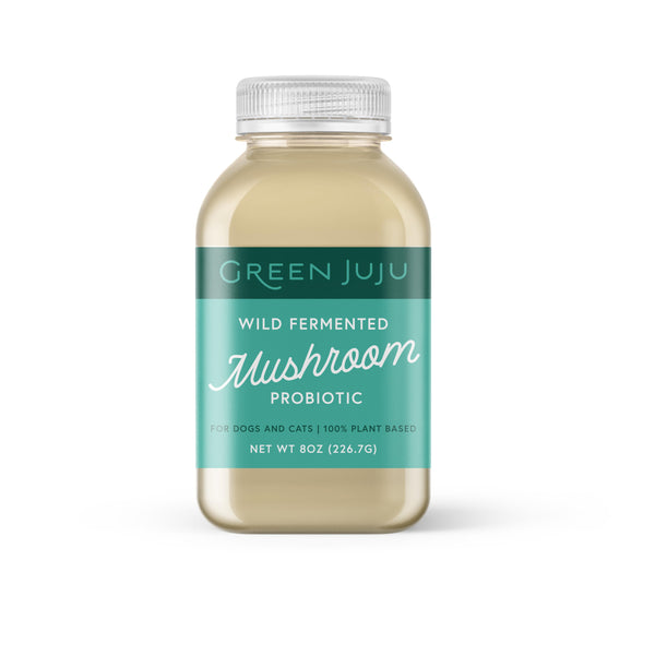 Green Juju Frozen Wild Fermented Mushroom Probiotic Broth for Dogs & Cats