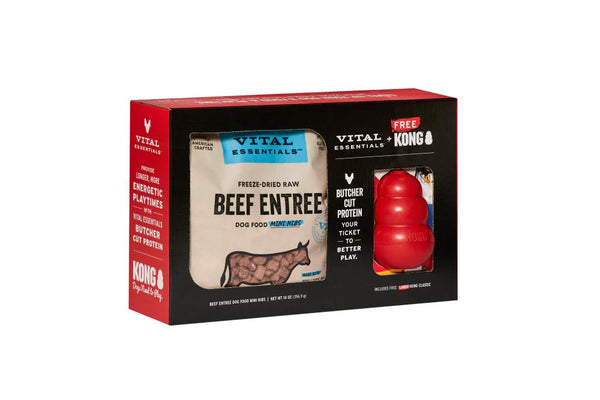 Vital Essentials + KONG Beef Mini Nibs & Classic Toy for Dogs