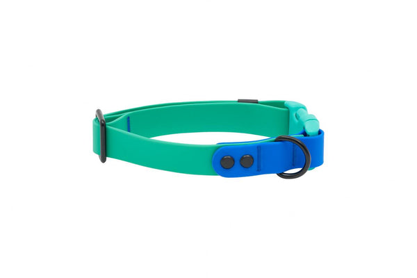 RC Pets Waterproof Dog Collar, Parakeet/Sapphire