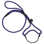 Mendota Pet Small Martingale Slip Walker Dog Collar & Leash, Black Ice Purple