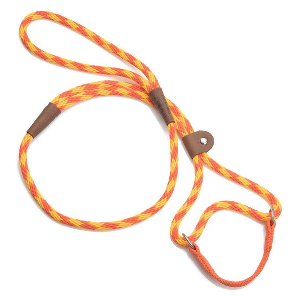 Mendota Pet Small Martingale Slip Walker Dog Collar & Leash, Diamond Amber