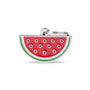 MyFamily Food Watermelon Pet ID Tag, Medium